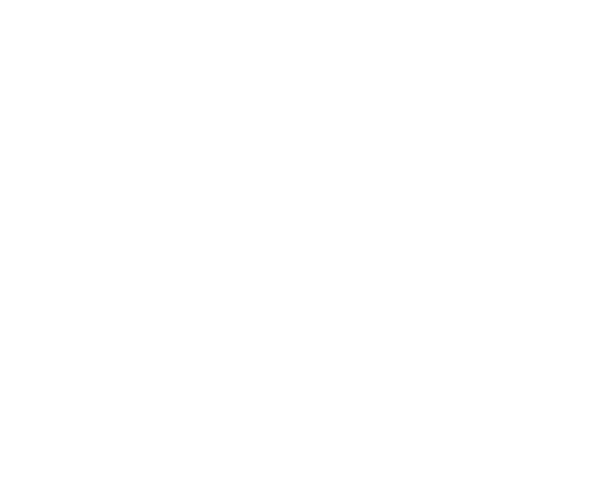 Brace Financial